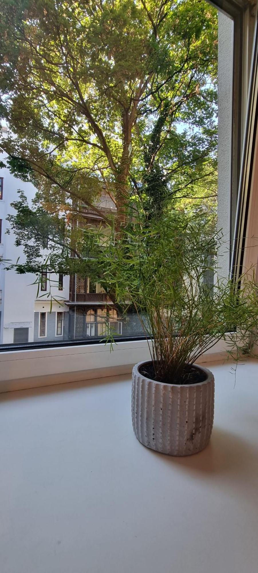 Vienna My City Apartment 1 Bedroom Kültér fotó